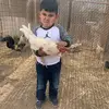 Cesar Guevara5705 - @cesarguevara5705 - TikTok