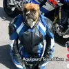Cesar Guevara - @cesar.guevara270 - TikTok