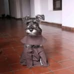Cesar Holguín - Facebook