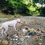 Cesar Ibarra - @cesar.ibarra.22 - Instagram