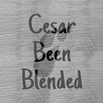 Cesar Infante - @cesarbeenblended - Instagram