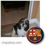 Cesar Jacome - @cesar.jacome.75 - Instagram