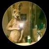 Cesar Jaime - @cesar.jaime24 - TikTok