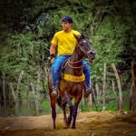 Cesar Junior - @_cesar_junior - Instagram