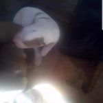 Cesar Katzenstein Barajas - @cesar_katzenstein - Instagram