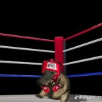 Cesar King - Facebook