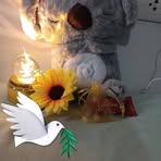 César King - Facebook