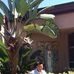 Cesar Laguna - Facebook