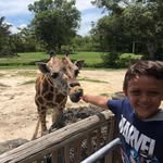 Cesar Lamadrid Sastre - @clamadrids - Instagram
