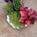 Cesar Lasar - Facebook