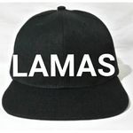 cesar lamas - @lamas7164 - Instagram