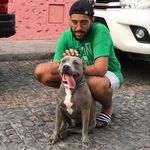 César Lamas - @cjlamas - Instagram