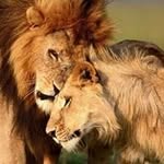 Cesar Lanza - @cesar.lanza.359 - Instagram