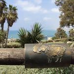 @cesar_la_torre - Instagram