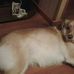 Cesar Latorre - Facebook