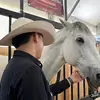Cesar_leal_RV - @cesar_leal_rv - TikTok