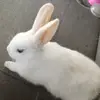 Anahí - @cesarleyva597 - TikTok