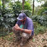 Cesar Lezcano - @cesarcoffeepty - Instagram