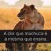 César Lino - Facebook