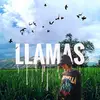 Cesar Llamas - @cesarllamas4 - TikTok