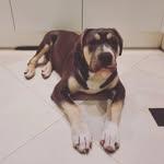 Cesar Love - @cesarlove33 - Instagram