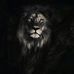 Cesar Loza - Facebook