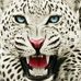 Cesar Lujan - Facebook