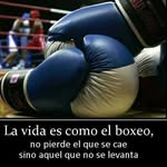 cesar lujan - @cesar8343 - Instagram