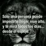Julio Cesar Merlos Garcia - @juliocesarmerlosgarcia - Instagram