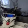 Cesar Moya - @cesar.moya41 - TikTok