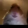 Cesar Moya - @cesarmoya8 - TikTok