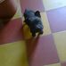 Cesar Paez - Facebook