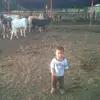Cesar Paez - @cesar.paez260 - TikTok