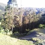Picon Cesar - @picon.cesar - Instagram
