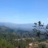 Cesar Pineda - @cesar.pineda216 - TikTok