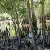 Cesar Pineda - @cesar.pineda95 - TikTok