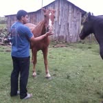 Cesar Pinheiro - @cesar.pinheiro.3133 - Instagram