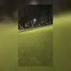 @rivascesar - @cesarrivas503 - TikTok