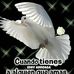 Cesar Rosado - Facebook