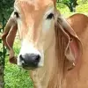 Cesar Saenz - @cesar.saenz410 - TikTok
