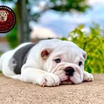 cesar solares baltazar - @cesarsolaresbaltaza - Instagram