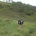 Cesar Valverde - Facebook