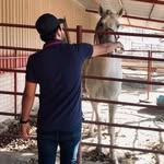 Cesar Velazquez - @velazquez.19 - Instagram