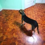 Cesar Viteri - @cesar.viteri.10004 - Instagram