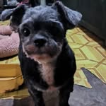 Cezar Gomez Jr. - @cezar_gomezjr - Instagram