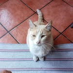 Cezar López - @cesartrenado - Instagram