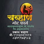 Chavan goat farm narayangavhan - @chavan_goat_farm_narayangavhan - Instagram