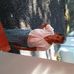 Chacko Mathew - Facebook