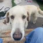 Chad Acker - Facebook