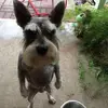 chad.barr - @chad.barr - TikTok